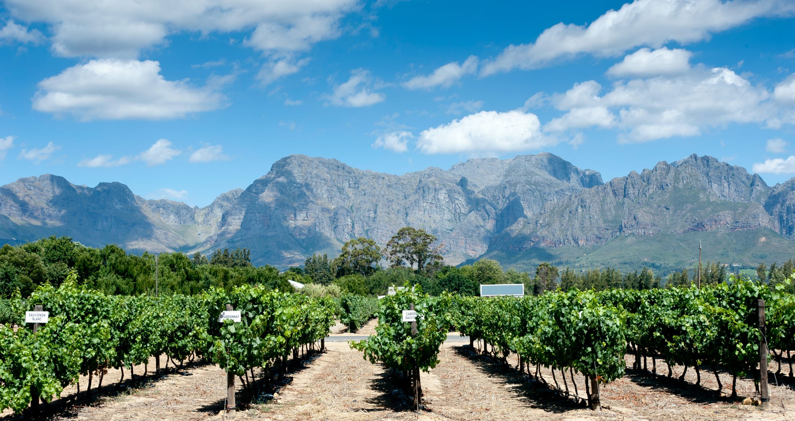 Las 3 bodegas más antiguas del mundo